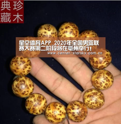 星空体育APP_2020年全国男篮联赛大赛第二阶段将在亳州举行！(图10)